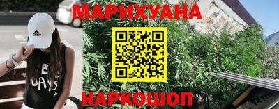 крисы Канаш