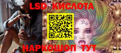 a pvp Камышлов