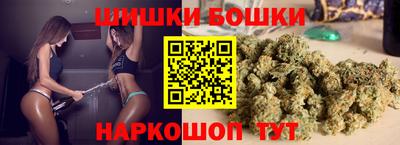 a pvp Камышлов