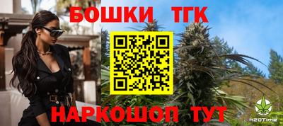 a pvp Камышлов