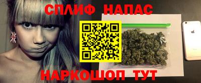 a pvp Камышлов