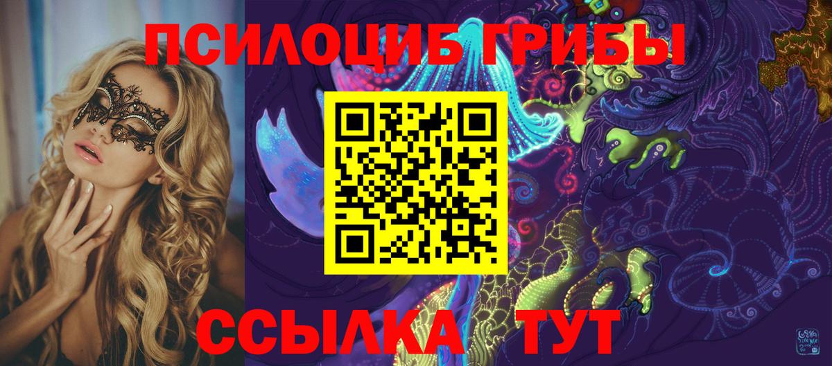 Галлюциногенные грибы Psilocybine cubensis Людиново